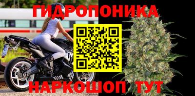 прущие грибы Балахна