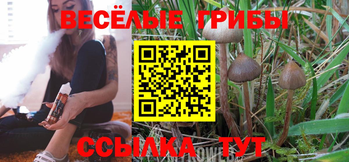 Галлюциногенные грибы мухоморы Гай