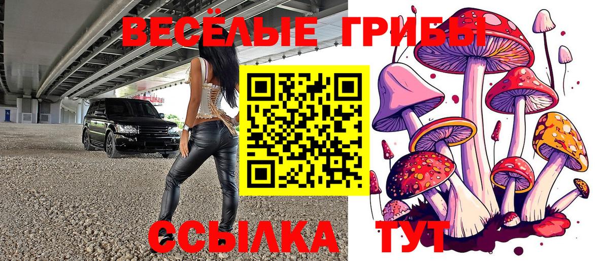 Гай  Галлюциногенные грибы Psilocybe  Вход с VPN 
